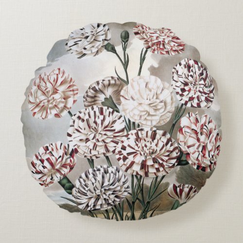 Vintage Variegated Carnation Flowers with Grey Sky Round Pillow