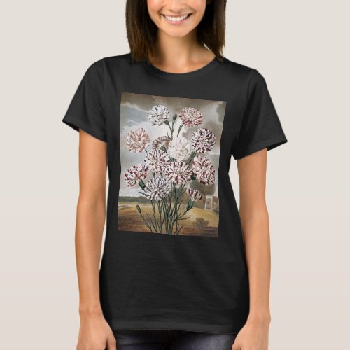 Vintage Variegated Carnation Flowers with Grey Sky T_Shirt