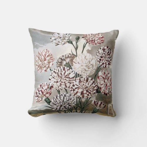Vintage Variegated Carnation Flowers with Grey Sky Throw Pillow