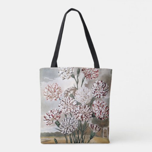 Vintage Variegated Carnation Flowers with Grey Sky Tote Bag