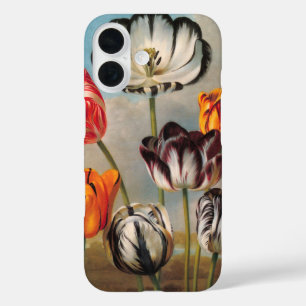 Vintage Variegated Tulip Flowers in a Landscape iPhone 16 Case