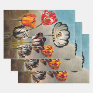 Vintage Variegated Tulip Flowers in a Landscape Wrapping Paper Sheets