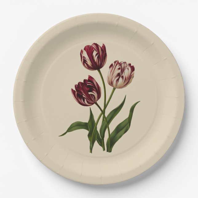 Vintage Variegated Tulips Paper Plates (Front)