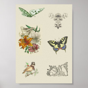 Vintage Variety Printable Scrapbooking Images Poster