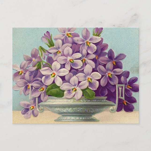 Vintage Vase of Purple Flowers Postcard (Front)