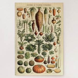 Vintage Vegetable Art by Adolphe Millot Jigsaw Puzzle