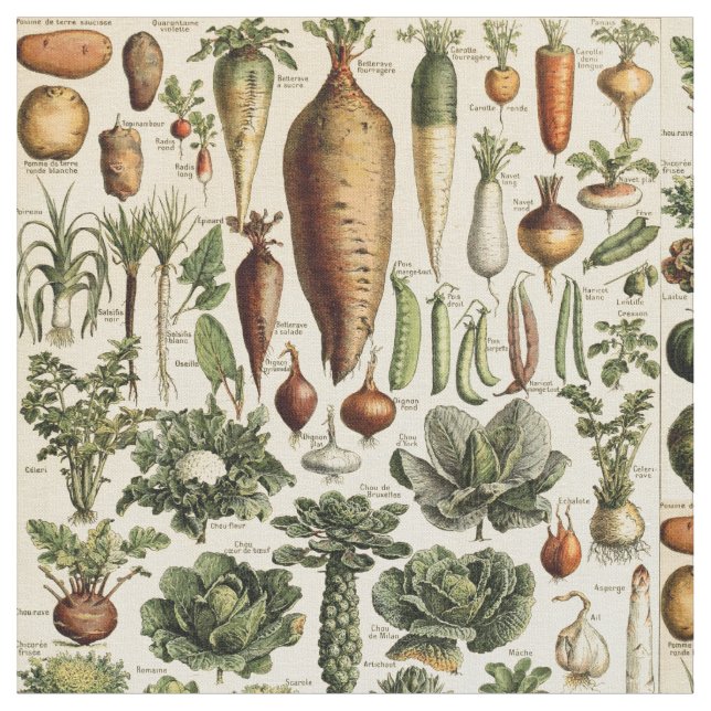 Vintage Vegetable Art by Adolphe Millot Pattern Fabric (Close Up)