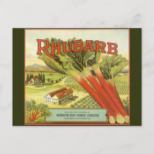 Vintage Vegetable Can Label Art, Rhubarb Farm Postcard