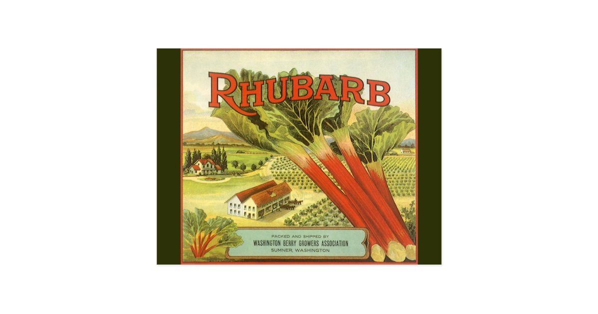 Vintage Vegetable Can Label Art, Rhubarb Farm Postcard | Zazzle.com