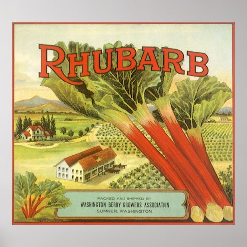 Vintage Vegetable Can Label Art Rhubarb Farm Poster