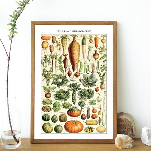 Vintage Vegetable Chart Adolphe Millot