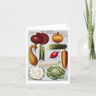 Vintage Vegetable Illustration Note Card