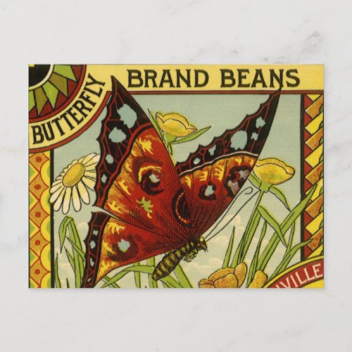 Vintage Vegetable Label Art Butterfly Brand Beans Postcard