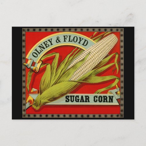 Vintage Vegetable Label Olney  Floyd Sugar Corn Postcard