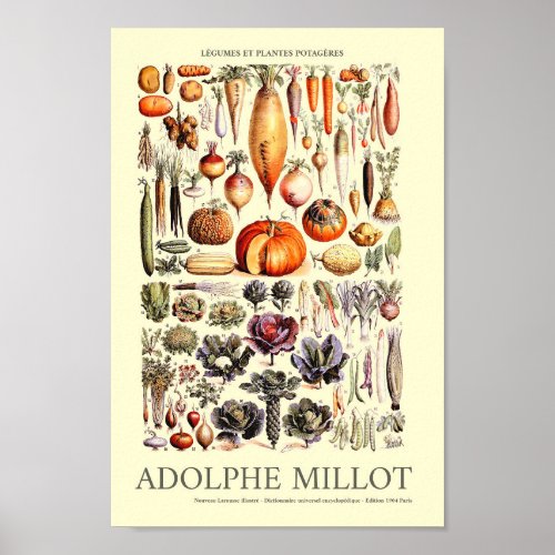 Vintage Vegetable Wall Art by Adolphe Millot