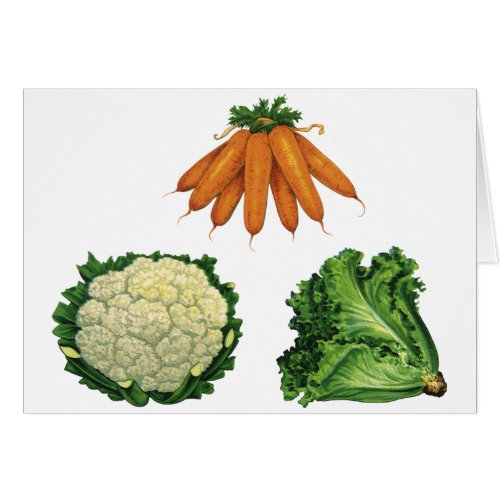 Vintage Vegetables Carrots Cauliflower Lettuce