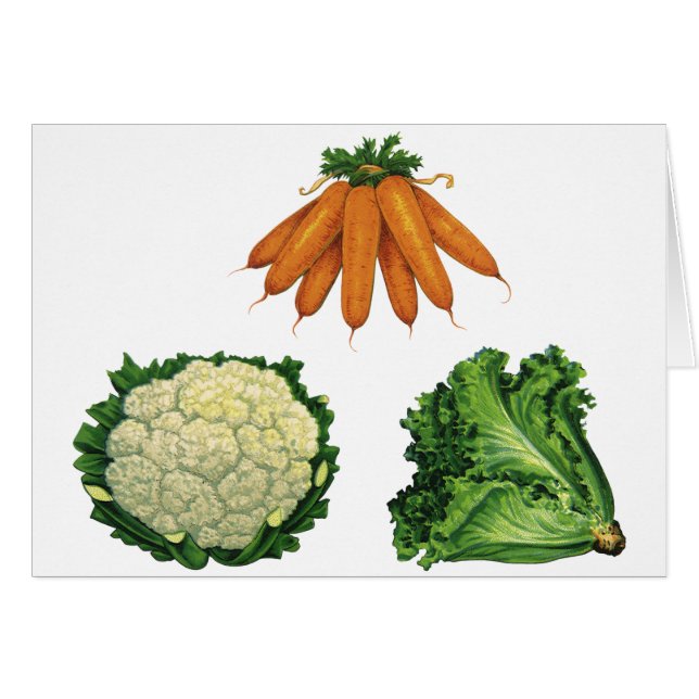 Vintage Vegetables; Carrots, Cauliflower, Lettuce Cards (Front Horizontal)