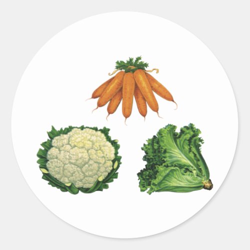 Vintage Vegetables Carrots Cauliflower Lettuce Classic Round Sticker