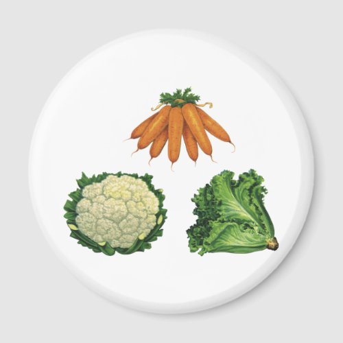 Vintage Vegetables Carrots Cauliflower Lettuce Magnet