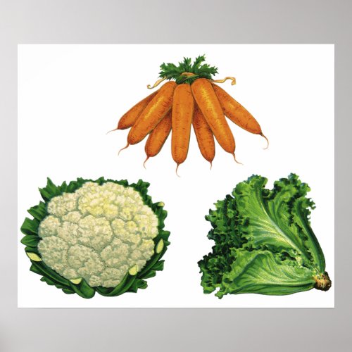 Vintage Vegetables Carrots Cauliflower Lettuce Poster