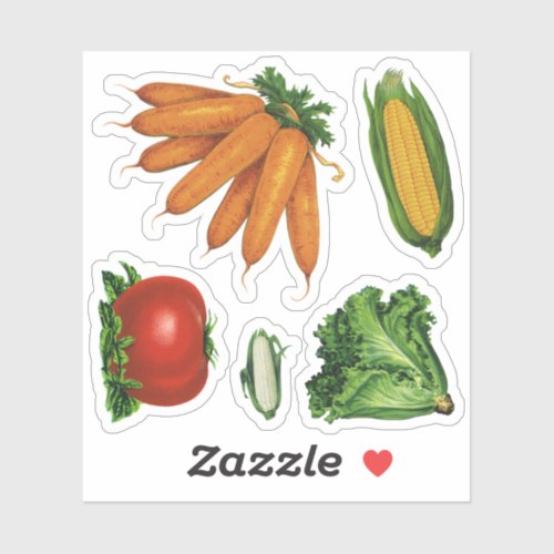 Vintage Vegetables Carrots Tomato Lettuce Corn Sticker