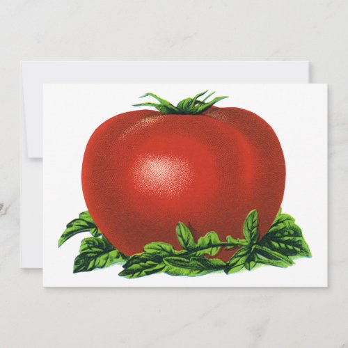 Vintage Red Ripe Tomato, Food Fruits Vegetables Invite
