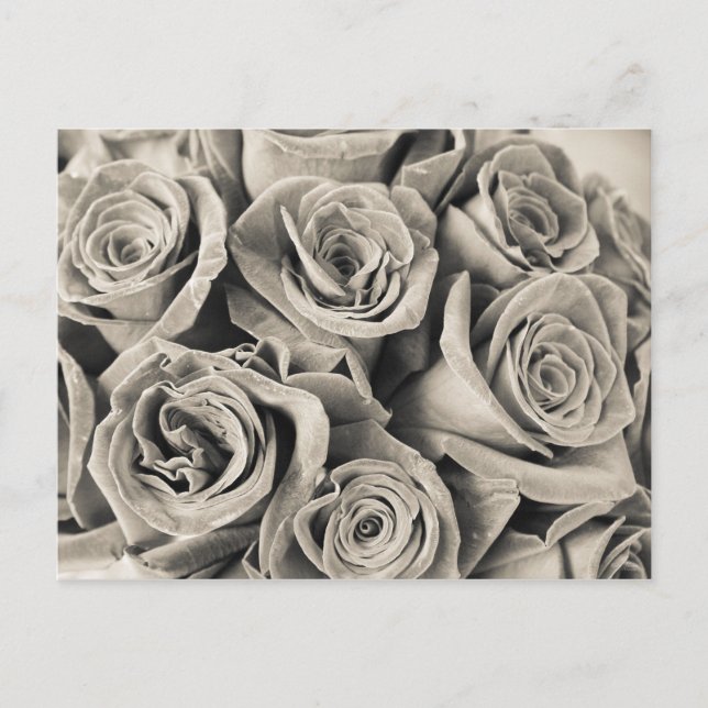 Vintage Velvet Beauty Postcard (Front)