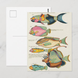 Vintage Vibrant East Indies Marine Life Wall Art Postcard