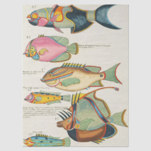 Vintage Vibrant East Indies Marine Life Wall Art Tissue Paper