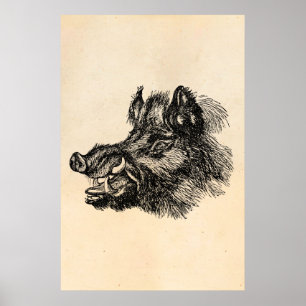 Vintage Vicious Wild Boar w Tusks Template Poster