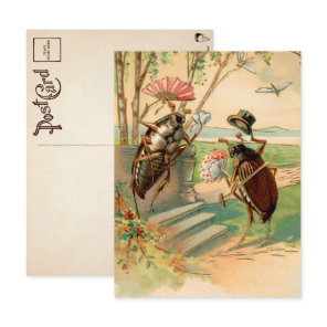 Vintage Victorian Bugs Postcard