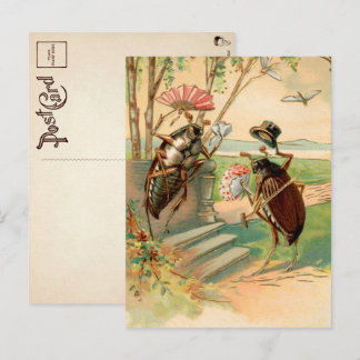 Vintage Victorian Bugs Postcard