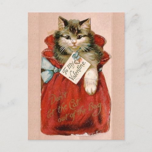 Vintage Victorian Cat In Bag Valentines Day Holiday Postcard