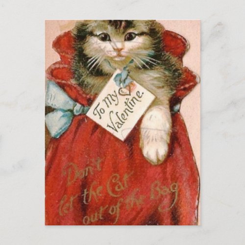 Vintage Victorian Cat In Bag Valentines Day Holiday Postcard