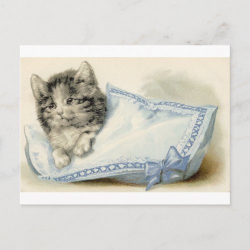 Vintage Victorian Cat Kitten Postcard