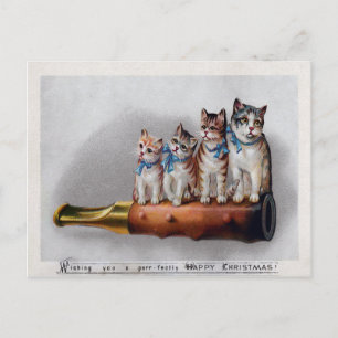 Vintage Victorian Cats Christmas Postcard