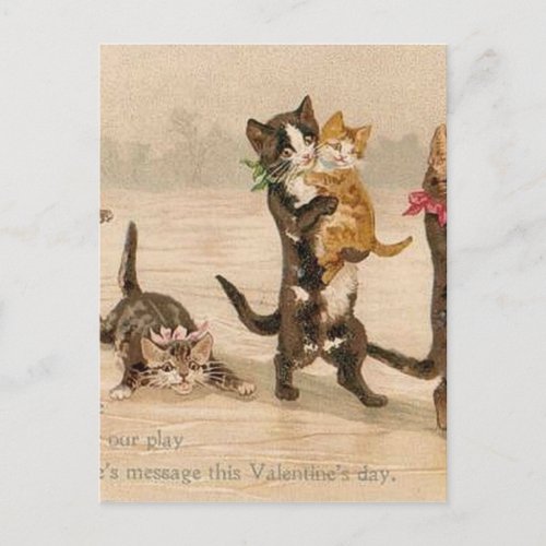 Vintage Victorian Cats Kittens Valentines Day Holiday Postcard