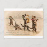 Vintage Victorian Cats Kittens Valentine's Day Holiday Postcard