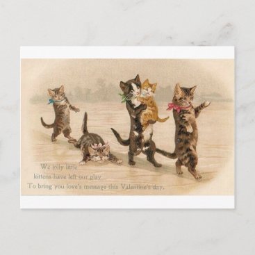 Vintage Victorian Cats Kittens Valentine's Day Holiday Postcard
