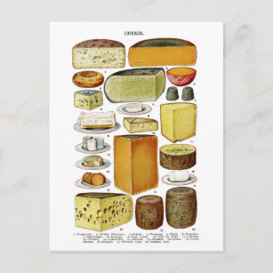 Vintage Victorian Cheese Varieties Illustration Postcard