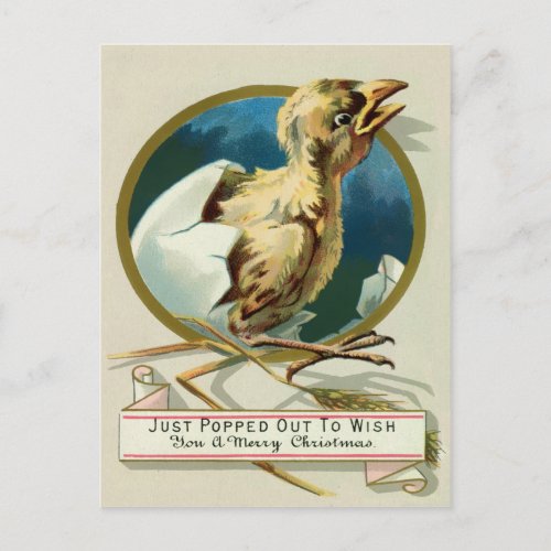 Vintage Victorian Chick Christmas Postcard