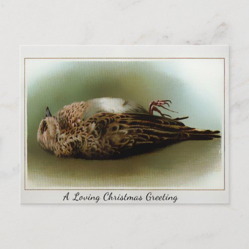 Vintage Victorian Dead Bird Christmas Postcard