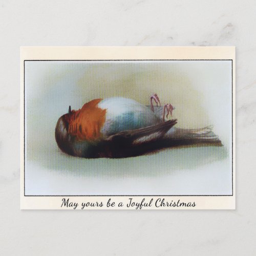 Vintage Victorian Dead Bird Christmas Postcard