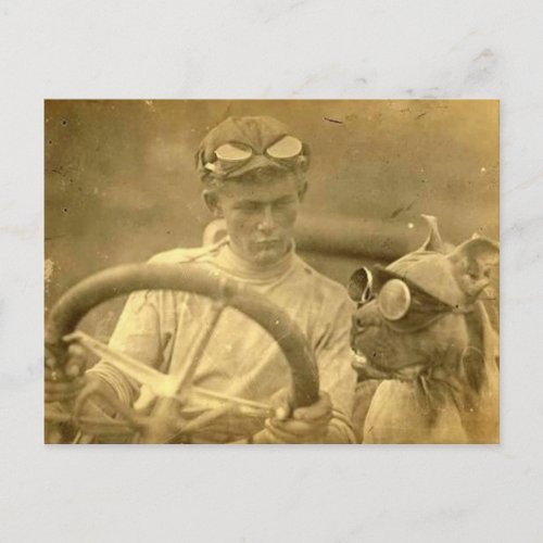 Vintage Victorian Dog and Man Driving Car Postcard