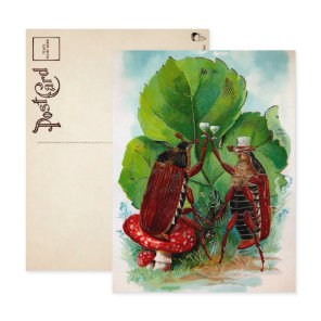 Vintage Victorian Drinking Bugs Postcard