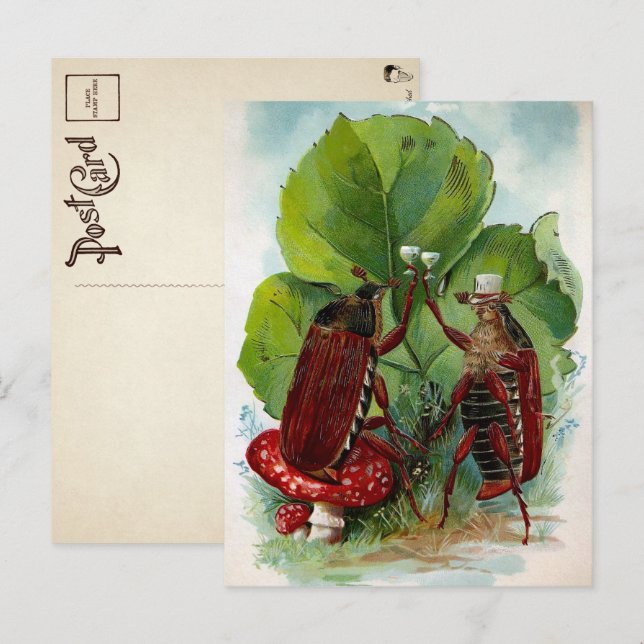 Vintage Victorian Drinking Bugs Postcard (Front/Back)