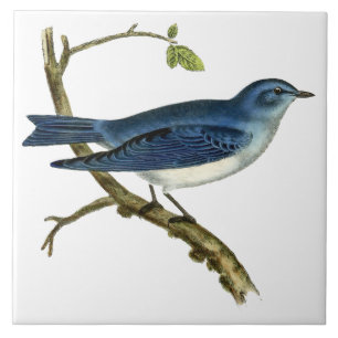 Vintage Victorian Era 1825 Bluebird Art Ceramic Tile