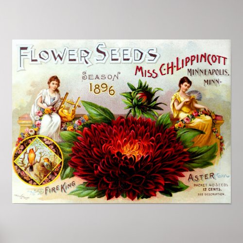 Vintage Victorian Era 1896 Flower Seed Cover Poster