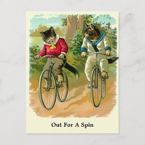 Vintage Victorian Era Cats On Bicycles Postcard