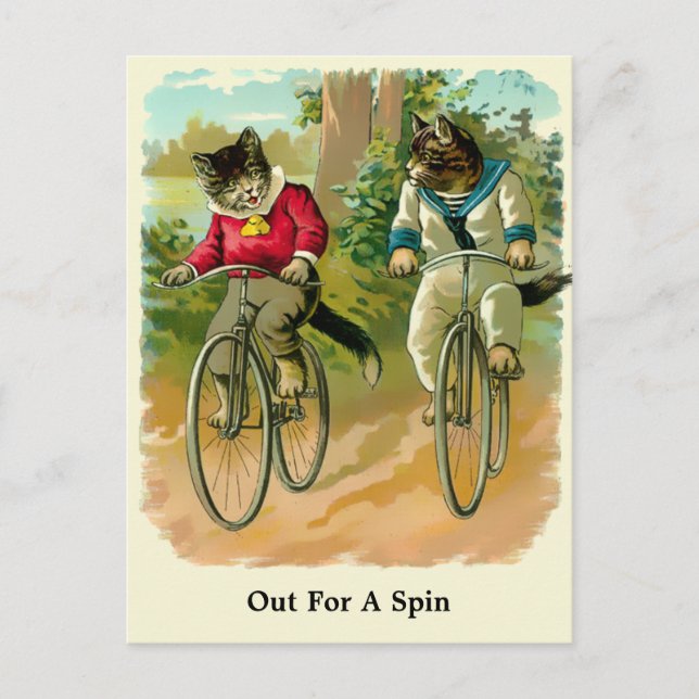 Vintage Victorian Era Cats On Bicycles Postcard (Front)